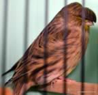 DSC_4836 (Small).JPG (79kb)